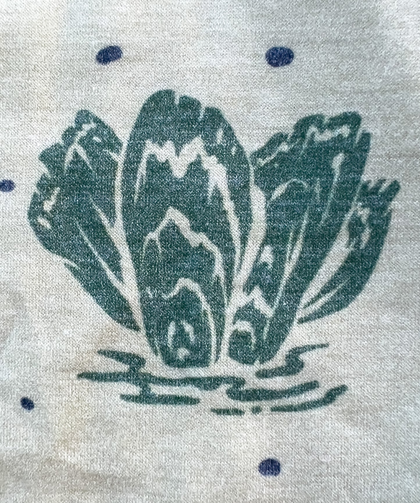 The San José Hoodie